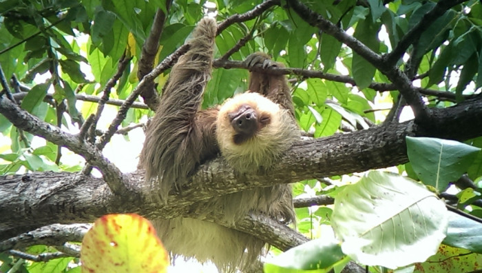 Manuel antonio park tour